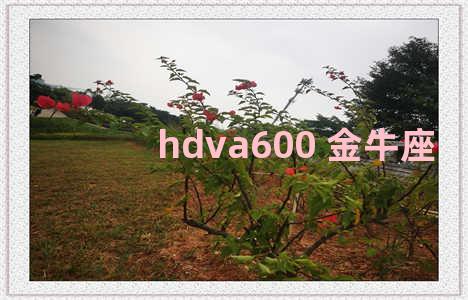 hdva600 金牛座